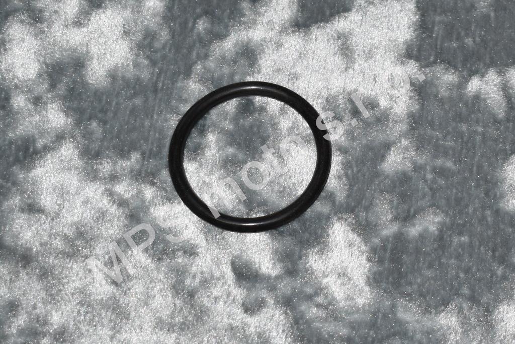 Kroužek výfuku 603-01-326