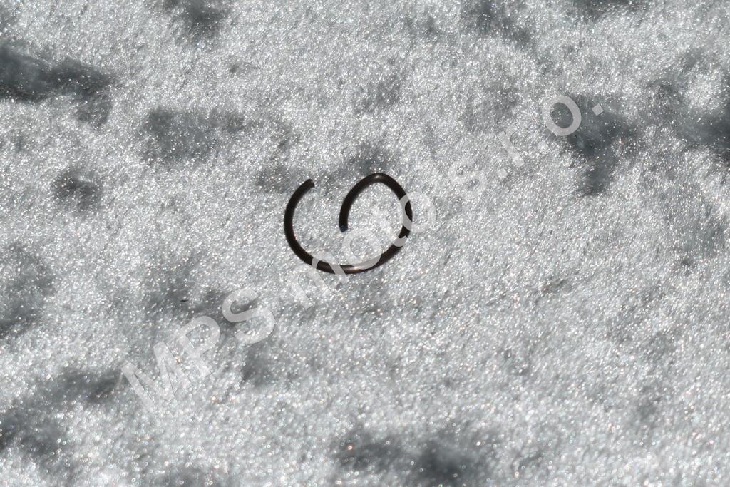 Segrovka  poj.16  CSN 022928.1