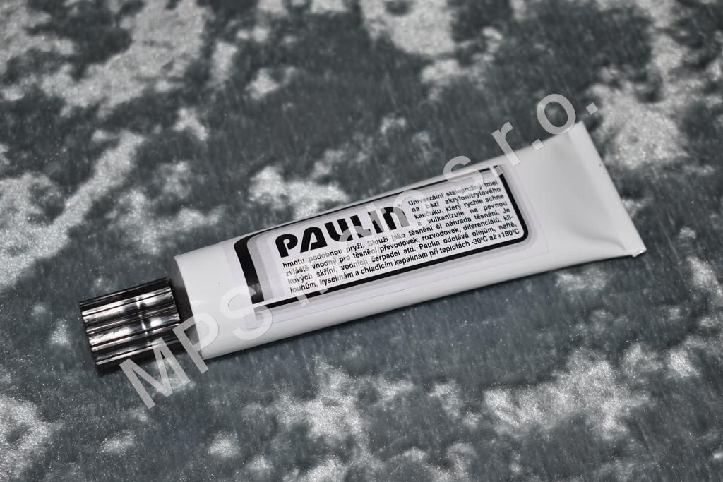 Paulin-plastický tmel 0.1kg