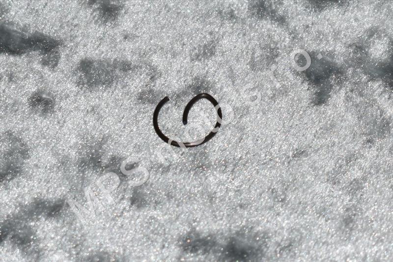 Segrovka  poj.16  CSN 022928.1