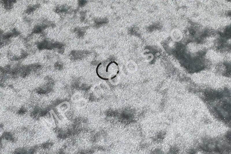 Segrovka pístního čepu D 12