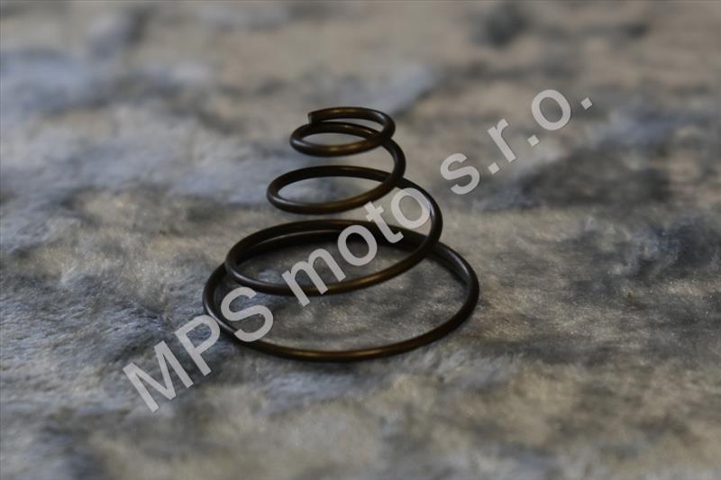 Kuželová pružina (315116124280)