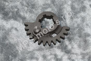 Segment startovací Pařez