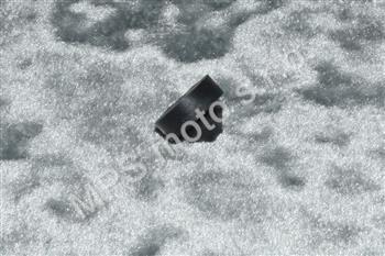 Gumový doraz sedla,nádrže a prsíček (5mm)